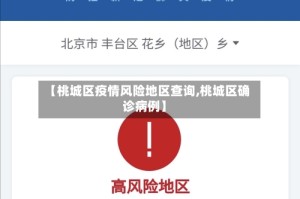 【桃城区疫情风险地区查询,桃城区确诊病例】