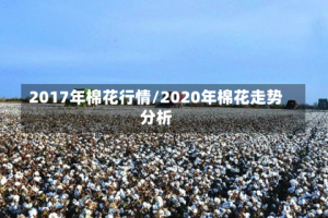 2017年棉花行情/2020年棉花走势分析