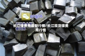 长江镍费用最新行情/长江现货镍费用行情