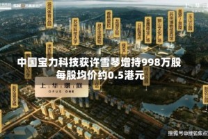中国宝力科技获许雪琴增持998万股 每股均价约0.5港元