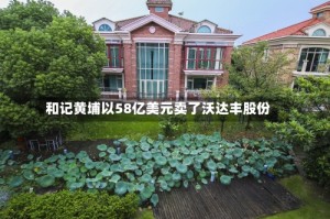 和记黄埔以58亿美元卖了沃达丰股份