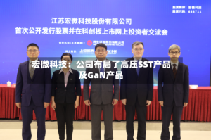 宏微科技：公司布局了高压SST产品及GaN产品