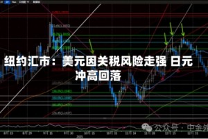 纽约汇市：美元因关税风险走强 日元冲高回落