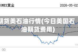 期货美石油行情(今日美国石油期货费用)