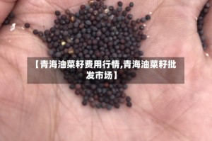 【青海油菜籽费用行情,青海油菜籽批发市场】
