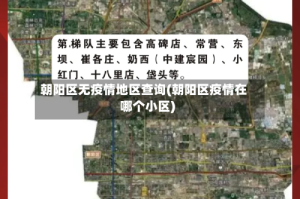 朝阳区无疫情地区查询(朝阳区疫情在哪个小区)