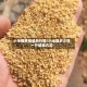 小米糠费用最新行情/小米糠多少钱一斤联系方式