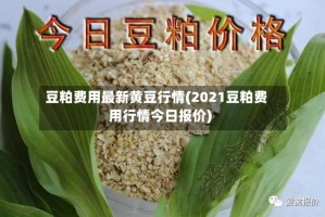 豆粕费用最新黄豆行情(2021豆粕费用行情今日报价)