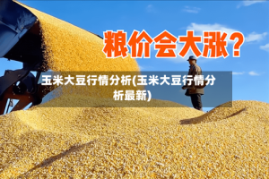 玉米大豆行情分析(玉米大豆行情分析最新)