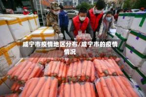 咸宁市疫情地区分布/咸宁市的疫情情况