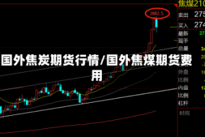 国外焦炭期货行情/国外焦煤期货费用