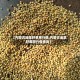 【内蒙古油菜籽费用行情,内蒙古油菜籽费用行情查询】