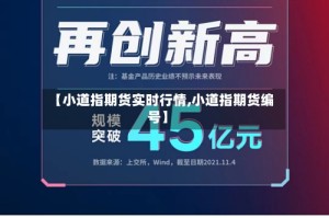 【小道指期货实时行情,小道指期货编号】