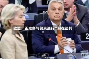 欧盟：正准备与普京进行“潜在谈判”