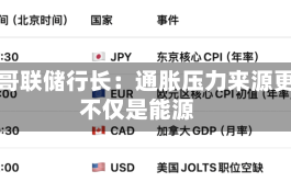 芝加哥联储行长：通胀压力来源更广 不仅是能源