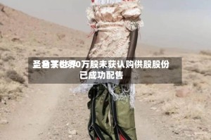 圣马丁世界：合共6690万股未获认购供股股份已成功配售