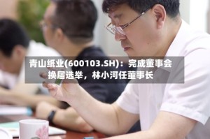 青山纸业(600103.SH)：完成董事会换届选举，林小河任董事长