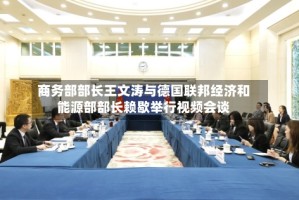 商务部部长王文涛与德国联邦经济和能源部部长赖歇举行视频会谈
