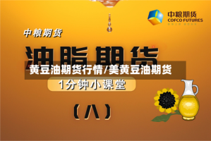 黄豆油期货行情/美黄豆油期货