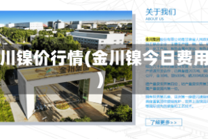 金川镍价行情(金川镍今日费用)