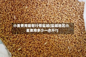 小麦费用最新行情盐城(盐城地区小麦费用多少一市斤?)