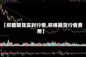 【郑糖期货实时行情,郑棉期货行情费用】