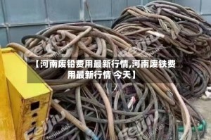 【河南废铅费用最新行情,河南废铁费用最新行情 今天】