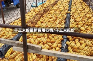 干玉米的最新费用行情/干玉米报价