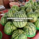 【疫情管控地区如何买到菜,疫情期间在哪里买菜】