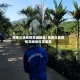 海南三亚疫情高峰地区/海南三亚疫情高峰地区是哪里