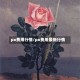px费用行情/px费用最新行情