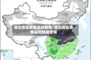 湖北地区疫情实时数据/湖北地区疫情实时数据查询