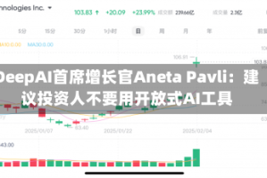 DeepAI首席增长官Aneta Pavli：建议投资人不要用开放式AI工具