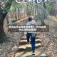 双马山什么地区有疫情了/双马山有什么好玩的景点?