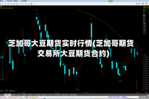 芝加哥大豆期货实时行情(芝加哥期货交易所大豆期货合约)