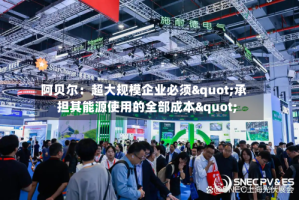 阿贝尔：超大规模企业必须"承担其能源使用的全部成本"