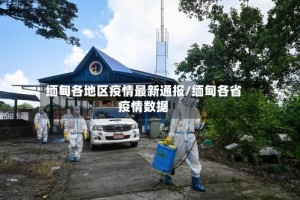 缅甸各地区疫情最新通报/缅甸各省疫情数据
