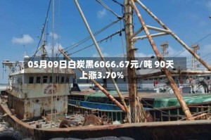 05月09日白炭黑6066.67元/吨 90天上涨3.70%