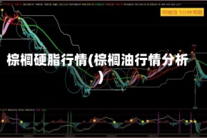 棕榈硬脂行情(棕榈油行情分析)