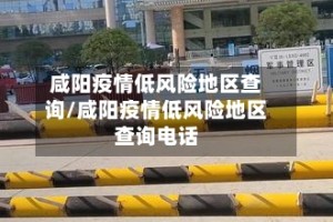 咸阳疫情低风险地区查询/咸阳疫情低风险地区查询电话