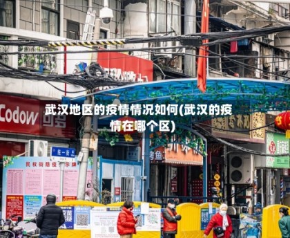 武汉地区的疫情情况如何(武汉的疫情在哪个区)