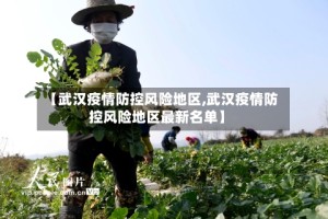 【武汉疫情防控风险地区,武汉疫情防控风险地区最新名单】