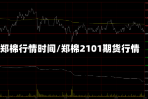 郑棉行情时间/郑棉2101期货行情