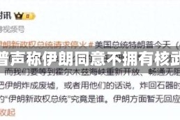 特朗普声称伊朗同意不拥有核武器