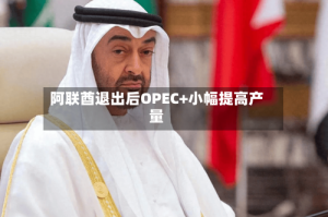 阿联酋退出后OPEC+小幅提高产量
