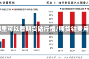 哪里可以看期货钴行情/期货钴费用