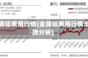 金属铝费用行情(金属铝费用行情走势分析)