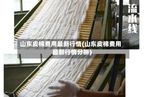 山东皮棉费用最新行情(山东皮棉费用最新行情分析)