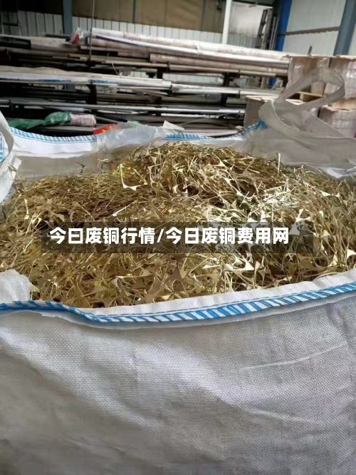 今曰废铜行情/今日废铜费用网-第3张图片