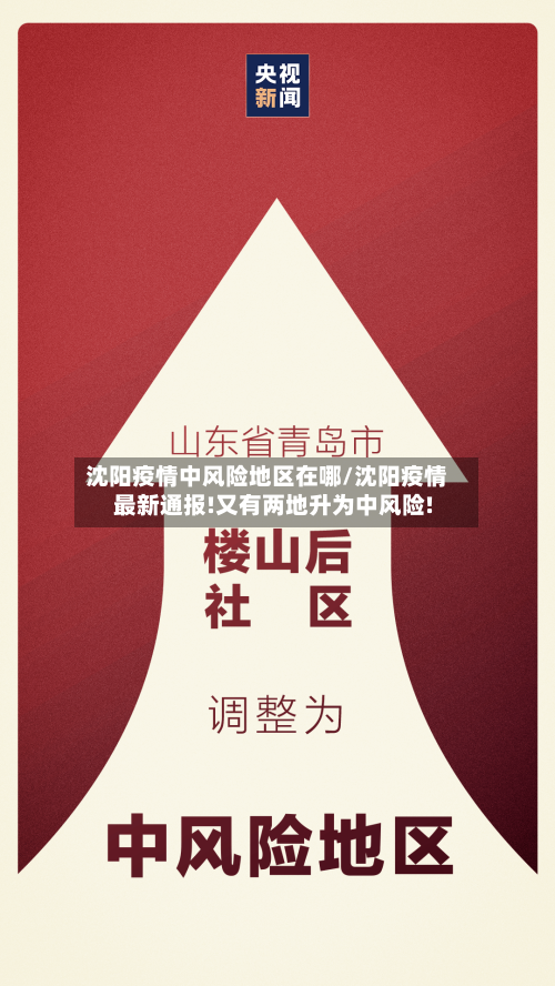 沈阳疫情中风险地区在哪/沈阳疫情最新通报!又有两地升为中风险!-第3张图片
